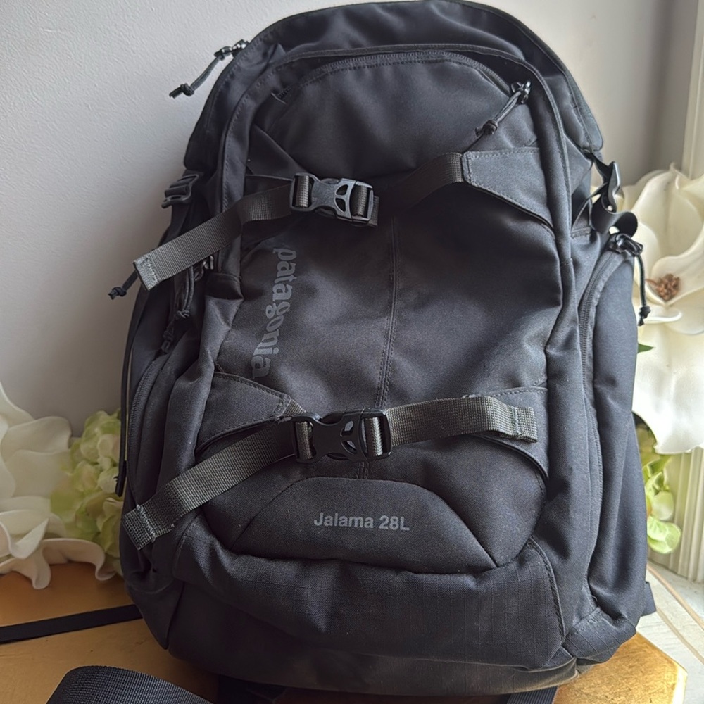 Patagonia Black Backpack